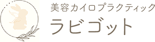 DCCカイロプラクティックラビゴット ロゴマーク